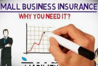 Insurance and Small Businesses