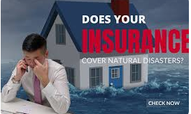 Insurance and Natural Disasters: Lessons Learned