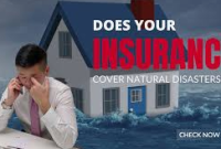 Insurance and Natural Disasters