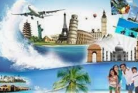 Domestic Travel Agents