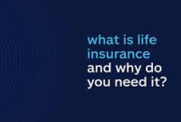 Life Insurance Quotes