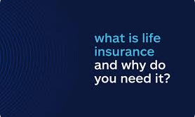 Life Insurance Quotes