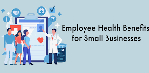 Affordable Health Insurance for Small Business Employees: A Comprehensive Guide