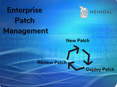 Comprehensive Guide to Enterprise Patch Management Solutions