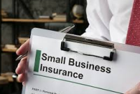 General Insurance for Small Business