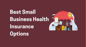 Affordable Health Insurance Options for Small Businesses: A Comprehensive Guide