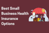 Affordable Health Insurance Options for Small Businesses