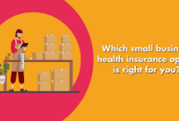 Small Business Health Insurance Options