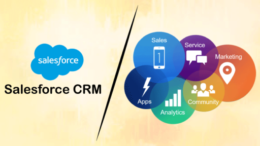 Final Salesforce CRM Information: Empower Your Gross sales Workforce